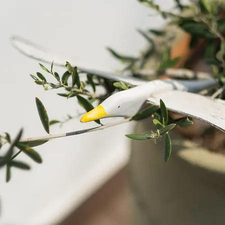 Vera Lilli شقة فندقية لايميناس