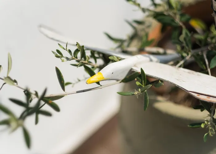 Vera Lilli Hotel de apartamente Limenas (Thasos)